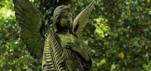 statue of an angel inside a forest